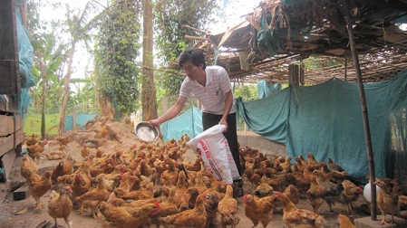 Mô hình chăn nuôi an toàn sinh học đảm bảo phòng dịch tốt