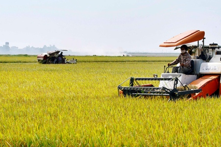 Máy móc hiện đại đã hỗ trợ tích cực cho sản xuất nông nghiệp
