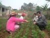 Chị Ly trao đổi kinh nghiệm trồng hoa với bà con nông dân